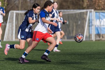 Bild 277 - wBJ Hamburger SV - Hertha BSC : Ergebnis: 2:1